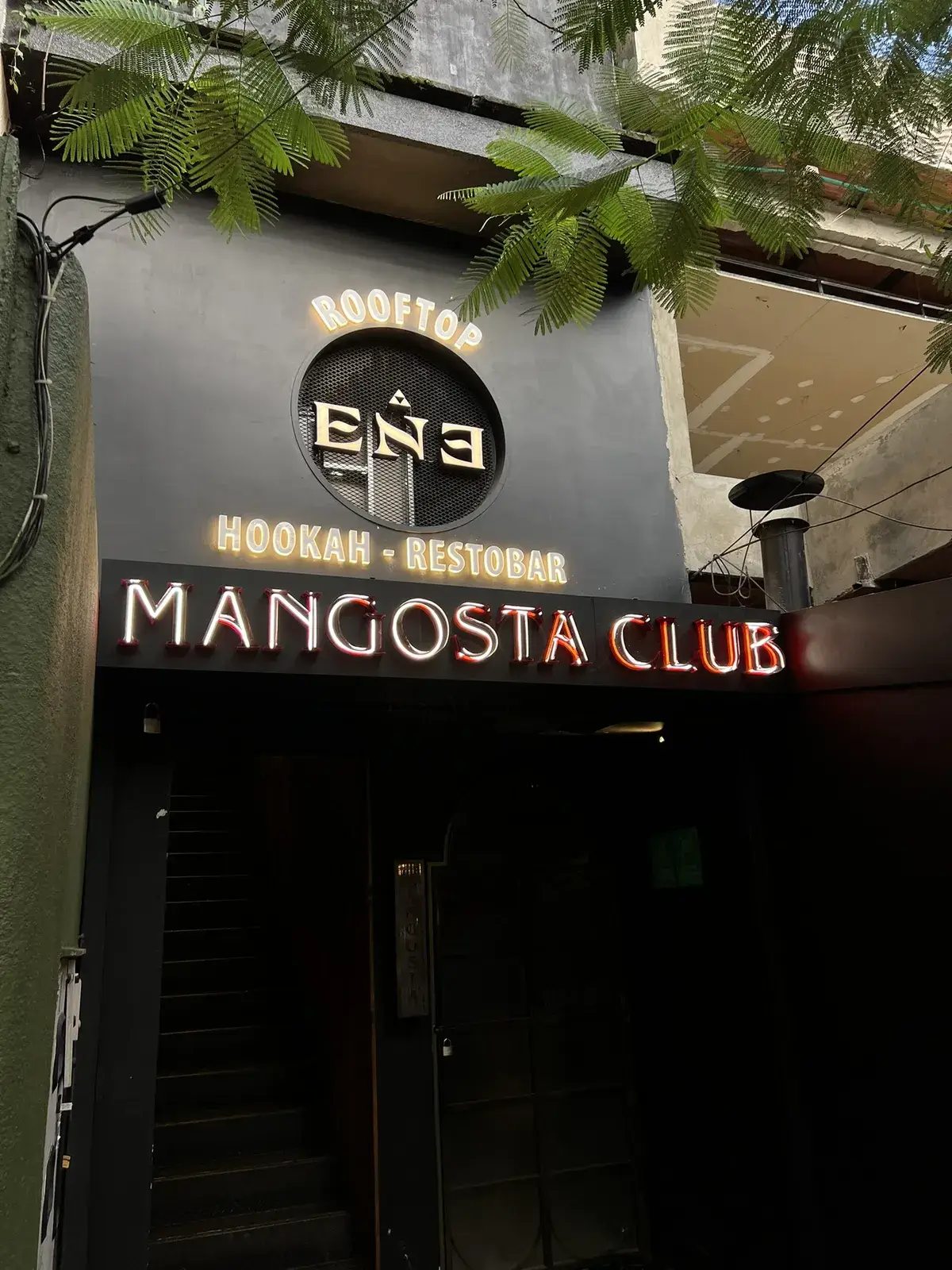 Mangosta — Solidlux® + Boldlux® neón 2G · Medellín